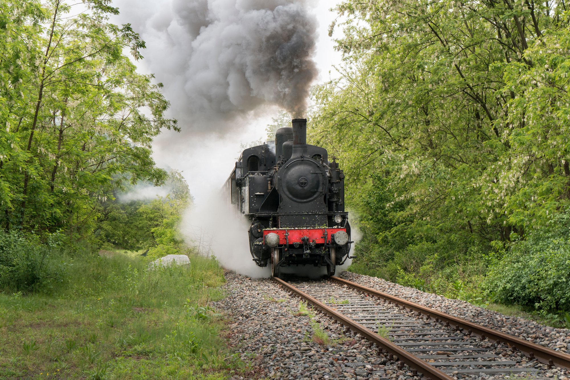 Steam train