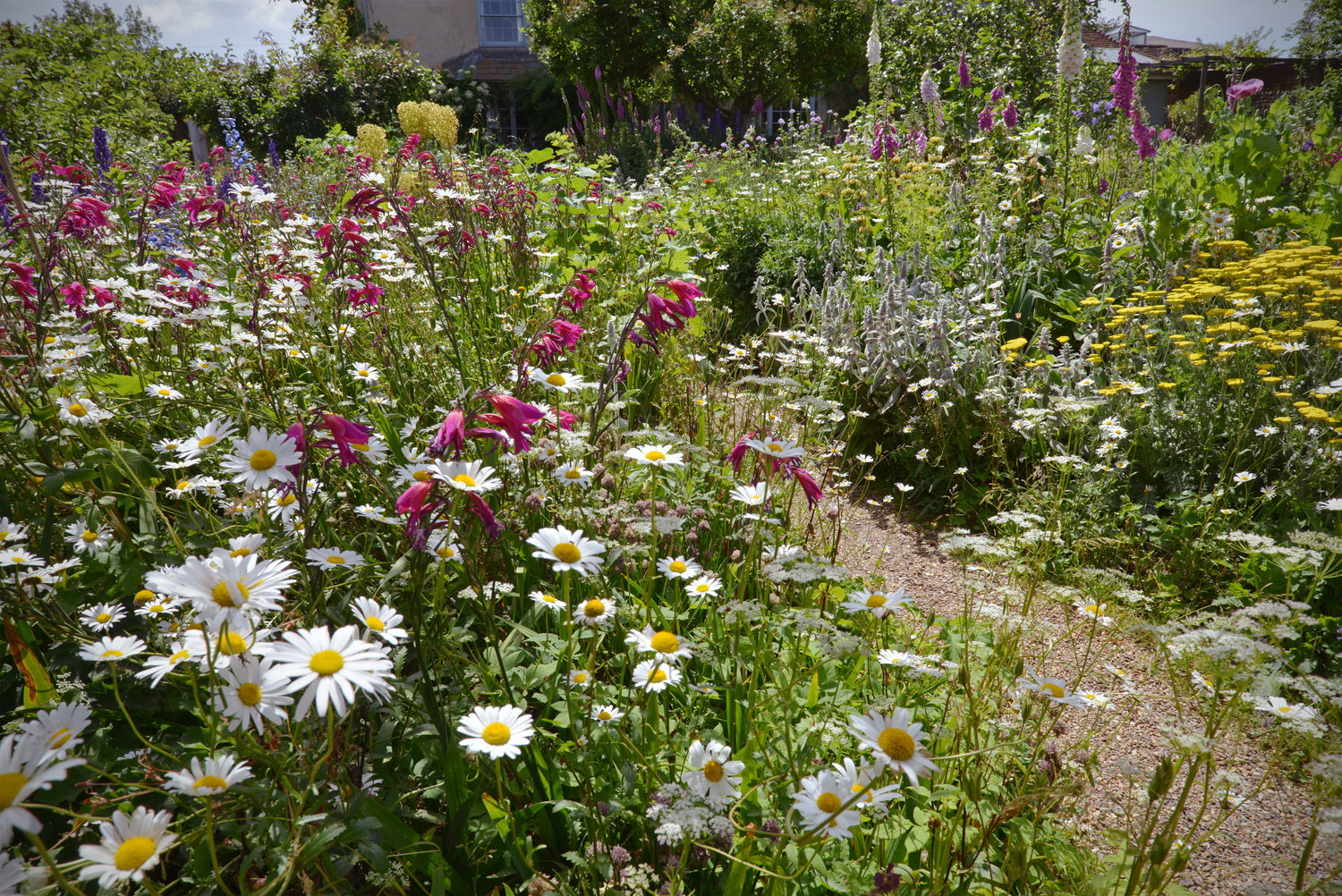 English Country Garden